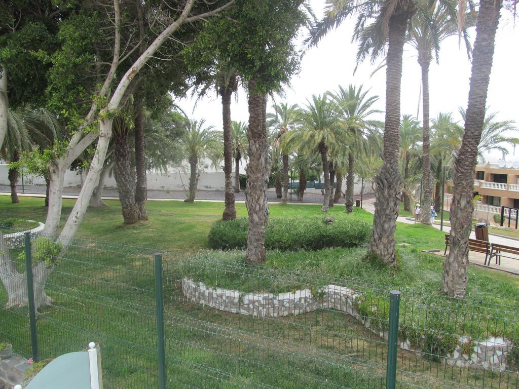 Apartment Virginia Playa de las Americas  Room photo